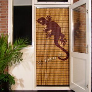 075 Liso Leguaan