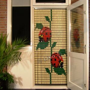 093 Liso lieveheersbeestjes