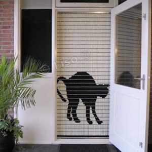 116 Liso zwarte kat